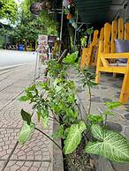 Vi TamCoc Hotel
