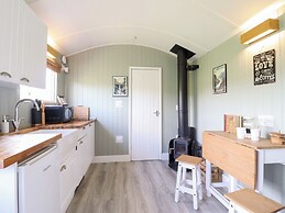 Cuckoo at Wild Valley Huts