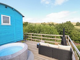 Cuckoo at Wild Valley Huts