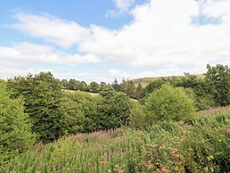 Cuckoo at Wild Valley Huts