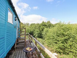 Cuckoo at Wild Valley Huts