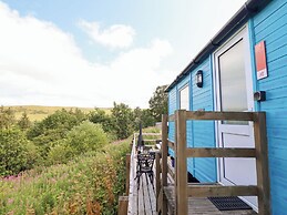 Cuckoo at Wild Valley Huts