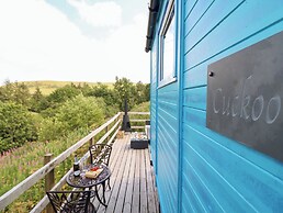 Cuckoo at Wild Valley Huts