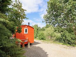 Red Kite at Wild Valley Huts