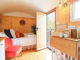 Red Kite at Wild Valley Huts