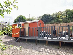 Red Kite at Wild Valley Huts