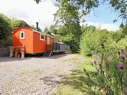Red Kite at Wild Valley Huts