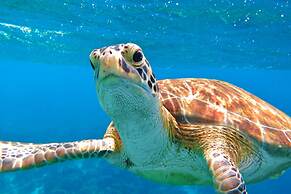Bonaire 2 Stay