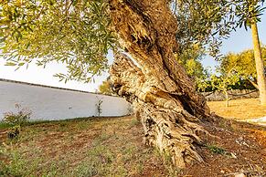 Masseria Abadia Uno