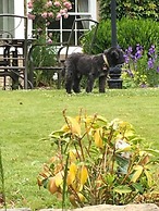 High Dalby House