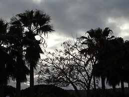 SUEÑA LA BREÑA
