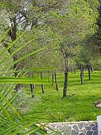 SUEÑA LA BREÑA