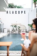 Alacope Alaçatı +12