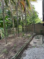 Hostel Toucan