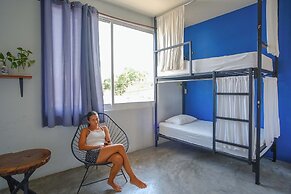 Puerto Dreams H