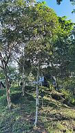Guadalajara Glamping