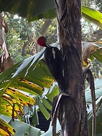 Guadalajara Glamping