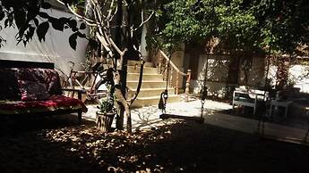 Dia homestay