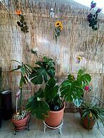 Sunny Studio