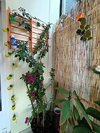 Sunny Studio