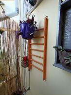Sunny Studio