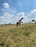 Mara Meguarra Sanctuary