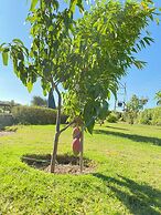 Mara Meguarra Sanctuary