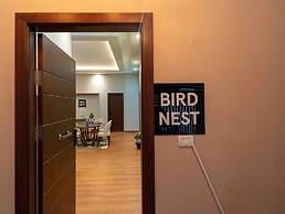 Bird Nest Near Point 90