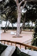 Finca Laida