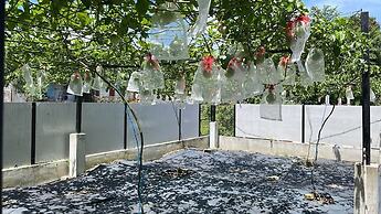 Garden Home Ipoh
