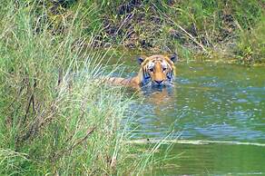Mango Tree Lodge