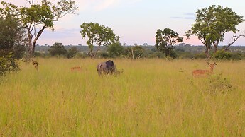 Self Catering Chalets - Manyeleti