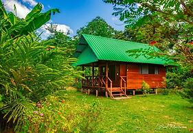 Quirquincho House