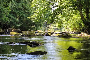 Llwyn Onn