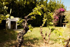Casale alle Vigne