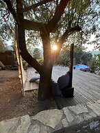 Palmira Selimiye