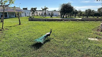 Tenuta Cursano