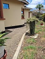 Meserani Oasis Lodge & Campsite