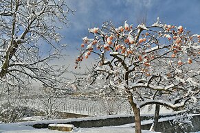 Roseto del Drago