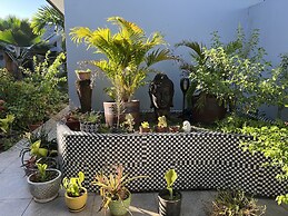 Pasifika Guesthouse