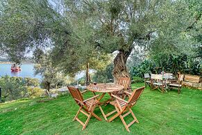 BlueNook Suites