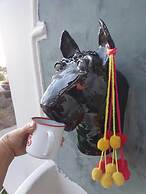 La Llama Negra