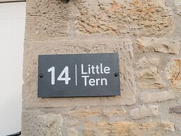 Little Tern