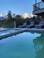 Monarch Campestre