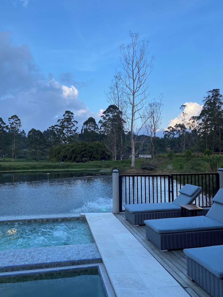Monarch Campestre