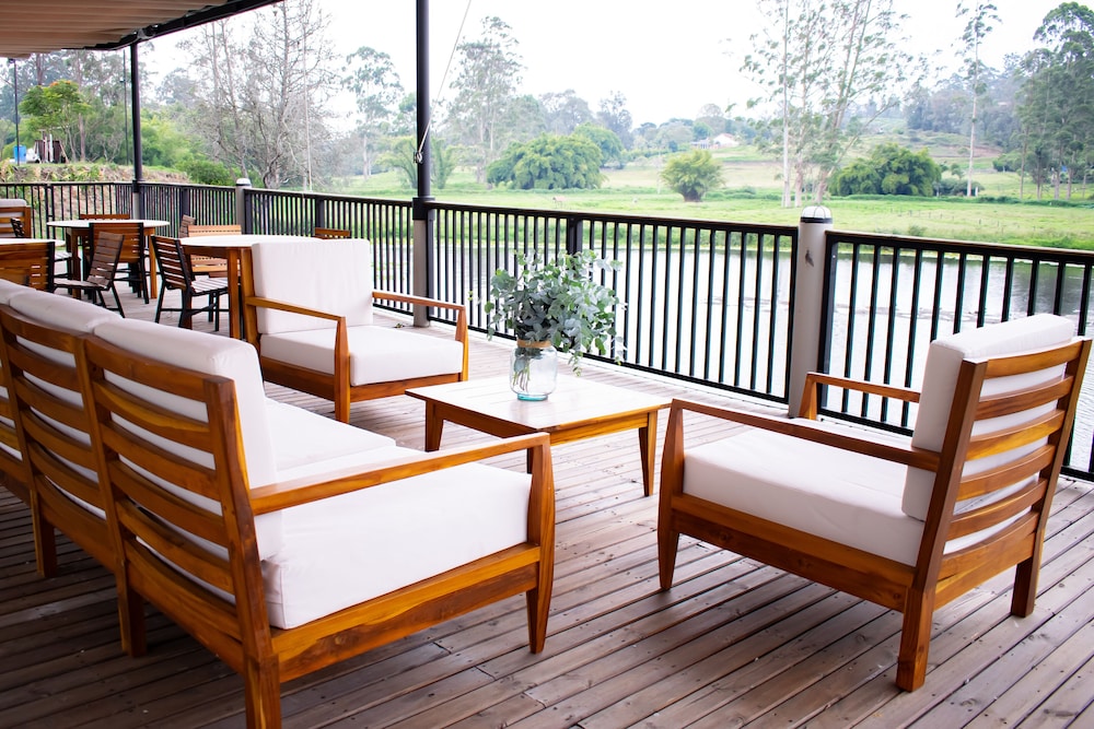 Monarch Campestre