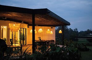 Monarch Campestre