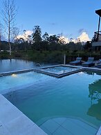 Monarch Campestre