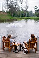 Monarch Campestre