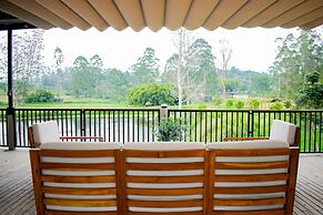 Monarch Campestre